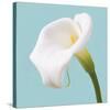 Fresh Lily I-Adam Brock-Stretched Canvas