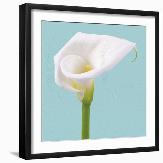 Fresh Lily II-Adam Brock-Framed Giclee Print