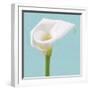 Fresh Lily II-Adam Brock-Framed Giclee Print