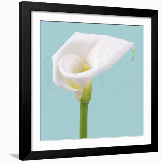 Fresh Lily II-Adam Brock-Framed Giclee Print