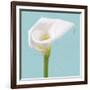 Fresh Lily II-Adam Brock-Framed Giclee Print