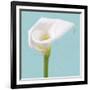 Fresh Lily II-Adam Brock-Framed Giclee Print