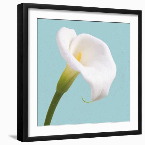 Fresh Lily III-Adam Brock-Framed Giclee Print