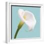 Fresh Lily III-Adam Brock-Framed Giclee Print