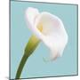 Fresh Lily III-Adam Brock-Mounted Giclee Print