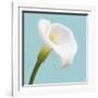 Fresh Lily III-Adam Brock-Framed Giclee Print