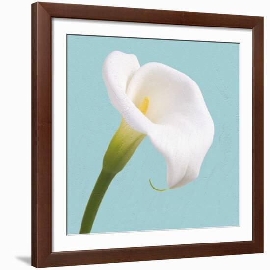 Fresh Lily III-Adam Brock-Framed Giclee Print