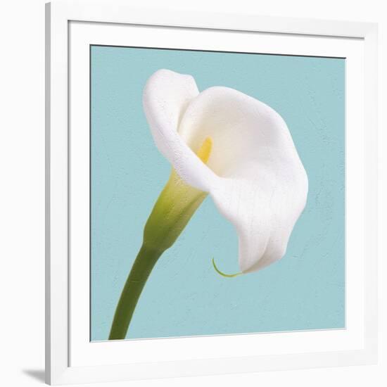 Fresh Lily III-Adam Brock-Framed Giclee Print