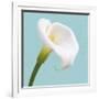 Fresh Lily III-Adam Brock-Framed Giclee Print