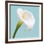 Fresh Lily III-Adam Brock-Framed Giclee Print