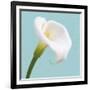 Fresh Lily III-Adam Brock-Framed Giclee Print