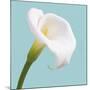 Fresh Lily III-Adam Brock-Mounted Giclee Print