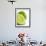 Fresh Limes-Jana Liebenstein-Framed Premium Photographic Print displayed on a wall