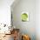 Fresh Limes-Jana Liebenstein-Photographic Print displayed on a wall