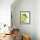 Fresh Limes-Jana Liebenstein-Framed Photographic Print displayed on a wall