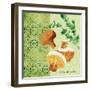 Fresh Linen Mushroom-Lola Bryant-Framed Art Print