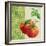 Fresh Linen Tomato-Lola Bryant-Framed Art Print