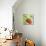 Fresh Linen Tomato-Lola Bryant-Mounted Art Print displayed on a wall