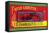 Fresh Lobster-Sun Lithograph Co-Framed Stretched Canvas