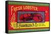 Fresh Lobster-null-Framed Stretched Canvas