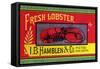 Fresh Lobster-null-Framed Stretched Canvas