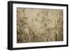 Fresh Meadow Bloom 2-Sheldon Lewis-Framed Art Print