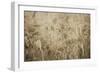 Fresh Meadow Bloom 2-Sheldon Lewis-Framed Art Print