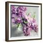 Fresh Morning Bloom-Sarah Gardner-Framed Art Print