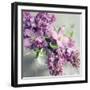 Fresh Morning Bloom-Sarah Gardner-Framed Art Print