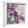 Fresh Morning Bloom-Sarah Gardner-Framed Art Print