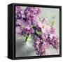 Fresh Morning Bloom-Sarah Gardner-Framed Stretched Canvas