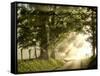 Fresh Morning I-Danny Head-Framed Stretched Canvas