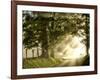 Fresh Morning I-Danny Head-Framed Art Print