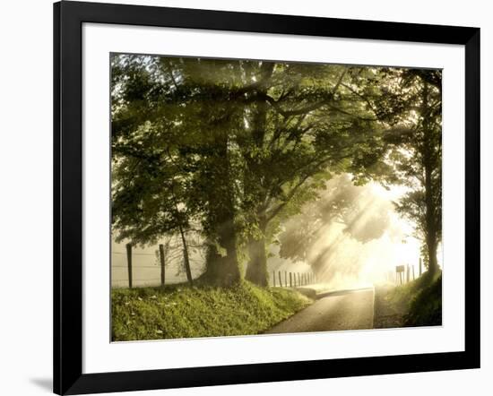 Fresh Morning I-Danny Head-Framed Art Print