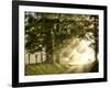 Fresh Morning I-Danny Head-Framed Art Print