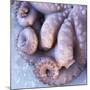 Fresh Octopus (Close-Up)-Alexander Feig-Mounted Photographic Print