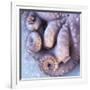 Fresh Octopus (Close-Up)-Alexander Feig-Framed Photographic Print