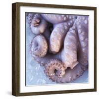 Fresh Octopus (Close-Up)-Alexander Feig-Framed Photographic Print