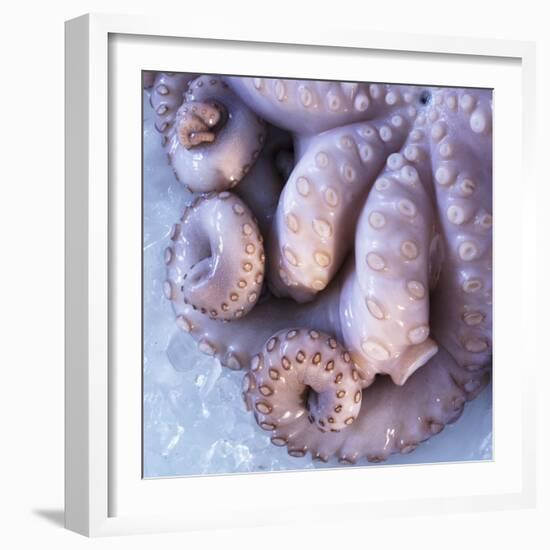 Fresh Octopus (Close-Up)-Alexander Feig-Framed Photographic Print