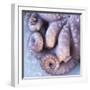 Fresh Octopus (Close-Up)-Alexander Feig-Framed Photographic Print