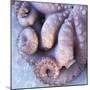 Fresh Octopus (Close-Up)-Alexander Feig-Mounted Photographic Print