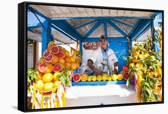 Fresh Orange Juice Vendor, Essaouira, Formerly Mogador, Morocco, North Africa, Africa-Matthew Williams-Ellis-Framed Stretched Canvas