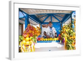 Fresh Orange Juice Vendor, Essaouira, Formerly Mogador, Morocco, North Africa, Africa-Matthew Williams-Ellis-Framed Photographic Print