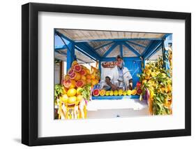 Fresh Orange Juice Vendor, Essaouira, Formerly Mogador, Morocco, North Africa, Africa-Matthew Williams-Ellis-Framed Photographic Print