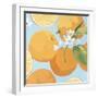 Fresh Oranges-Martha Negley-Framed Premium Giclee Print