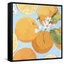 Fresh Oranges-Martha Negley-Framed Stretched Canvas