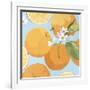 Fresh Oranges-Martha Negley-Framed Giclee Print