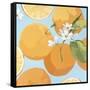 Fresh Oranges-Martha Negley-Framed Stretched Canvas