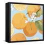 Fresh Oranges-Martha Negley-Framed Stretched Canvas