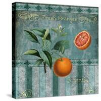 Fresh Oranges-Mindy Sommers-Stretched Canvas